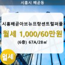 배곧아브뉴프랑센트럴퍼플 이미지