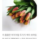 제이제이농장 네이버블로그