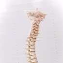 마포바로본정형외과의원 이미지