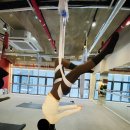 강사중 | [필라테스 강사 솔직 후기] 🤮 수업 중 토했던 플라잉요가! 장점과 추천 대상, 그리고 주의사항