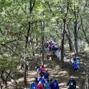 오금동주민센터 이미지