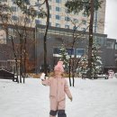 평창휘닉스파크스키강습아카데미