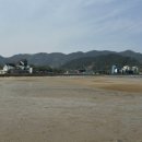 일류식물원