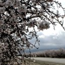 이영식농장 이미지