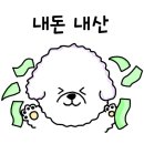 홀리브라운