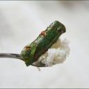 태희농장 이미지