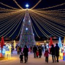 거창크리스마스트리문화축제 | 2025 거창 크리스마스 트리문화축제 빛으로 물드는 겨울밤, 이번 주말 개막! (일정/주차/프로그램)