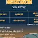 관악산 계곡 캠핑장 이미지