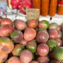 선데이(SUNDAY) | 코타키나발루 가볼만한 곳 선데이마켓 Sunday Market 쇼핑/이펑락사 후기