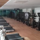 에스에스스포츠 이미지