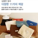 389 이미지