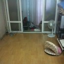 메가박스 앞 이미지