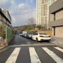 애니카센타 이미지