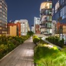 Urban Escape For Woman
