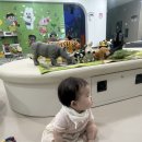 어울림교육 - 동작구 상도로 30 | 9개월 동래구 혁신어울림센터 다녀온 후기 ☺️
