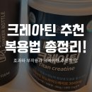 필팜 | 크레아틴 효과와 복용법 추천까지 완벽정리!