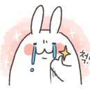 (주)오스탈레띠