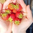 무내미농장 이미지