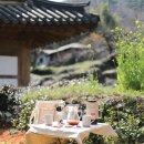 소나무스테이 이미지