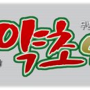 인포디자인(INFO) Daum카페