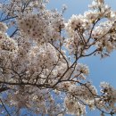 구룡포초등학교 이미지