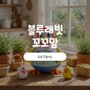 꼬꼬맘 | 꼬꼬맘 사용후기｜터미타임 장난감 고민 끝낸 국민육아템