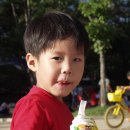 인라인장 이미지