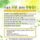 (주)아이메디 | 아이메디 안과 라섹 후기입니다!