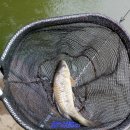 쉼터 낚시터 이미지