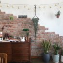 조이풀리 이미지