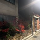 신남세탁소 이미지