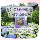 장생포초등학교 | 2025 장생포 수국축제｜비 오는 날 아이와 수국 꽃길 산책(+가 볼 만한 곳 추천)