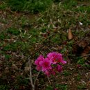 승학체육공원 이미지