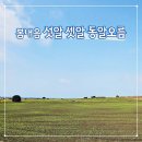 제주 셋알오름 일제 고사포진지 | 제주 남쪽 오름 봄내음 물씬 송악산에서 섯알 셋알 동알오름 연결