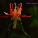 영일카써비스 이미지