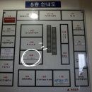 마두역 7번출구 옆 이미지