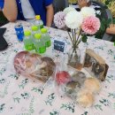 참농농장 | [참한팜파티]Oh!미자Day 경남 함양 팜파티 주말 가족체험 농장(1)