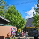 메론팜 | [삿포로] 25.08.09 마이리얼트립 비에이 버스투어 강추 후기 4️⃣팜 도미타, 메론빵 짱 맛있다