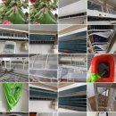 종합운동장 메타세콰이어길 이미지