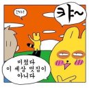 무드컬렉트