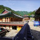 【계룡산 鷄龍山 845m 】 「닭의 볏을 쓴 용을 닮았다」 이미지