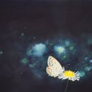 동탄문화센터로 이미지