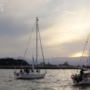 제17회 강릉 커피축제 이미지