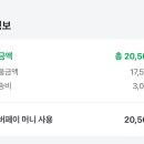 공기정화 스칸디아모스 만들기 이미지