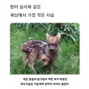 김복근내과의원 이미지