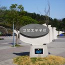 귀룽나무꽃이 만개한 고모리저수지의 봄 풍경을 보며 (2024.4.19.금) 이미지