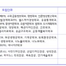 [학점은행제] 태권도겨루기 이미지