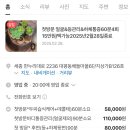 윤초원 테라피