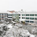 금성면 농공단지 이미지