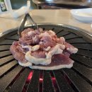 낙동생오리 이미지